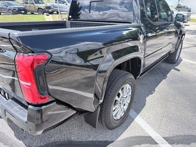 2025 Toyota Tacoma Limited